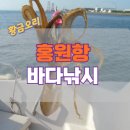 만선자원 | 홍원항 배낚시 : 예약부터 주꾸미 노하우까지, 실용 가이드에 담은 바다낚시의 생생함!