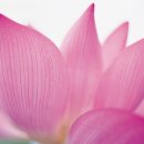 창가(한국SGI) 이미지