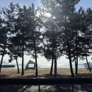 다비치콘도 사우나 이미지