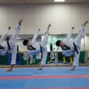 태권한류 이미지