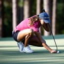 그린마크로 이미지