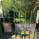 제주촌캉스 이미지