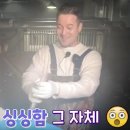 서동양만장 이미지