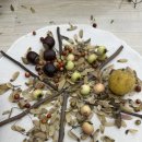 파랑숲어린이집 이미지