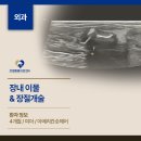 Dr.윤24시동물병원 | 창원24시간동물병원 장내 이물로 인해 장절개술을 진행한 4개월 고양이 수술 케이스