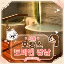 강남사우나 | 도미인 강남 사우나 대욕장 이용해본 솔직후기