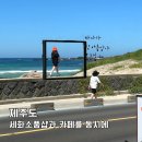 세화사료 | 세화소품샵 카페 공작소 제주도 동쪽 가볼만한곳