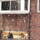 살롱드 오늘 이미지