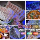 오늘도미술 | 강남 코스 요리 맛있는 역삼역 숙성 도미회 코미도리 역삼점