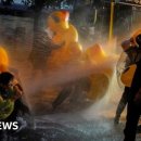 정부농장 이미지