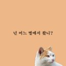 비에프푸드 이미지