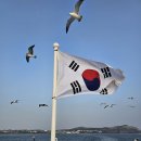 펄럭펄럭