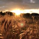 소리와씨엔엠 이미지