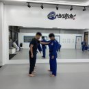 위례유도관 | 위례유도 재미있게 유도를 배울 것 같아요