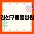초록동물병원 네이버블로그