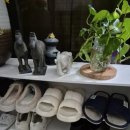 디아뜨3 B 이미지