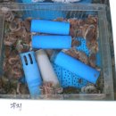 부산갈매기횟집