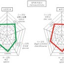 미각 이미지