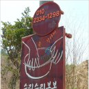 [단양맛집] 약선요리의 명가 "단양의 수리수리 봉봉"의 산나물만두와 산채함박스테이크 이미지