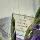 발레드무이 - 수원시 영통구 광교중앙로 145 | 발레드무이