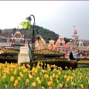 포시즌 봄 이미지