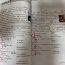 HSK 급수별 중국어 단어공부 | 중국어 HSK 자격증 인강 듣고 목표 급수 달성한 후기