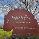표선농업협동조합가시지점 이미지