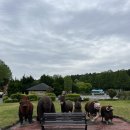 후쿠오카 아기랑 렌트카로 아프리칸사파리 내돈내산 후기(입장료/영업시간 O, 주말 9시 오픈런)