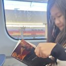 배둔시외버스터미널(교통섬) | 이태리여행 #8 베니스 무라노,부라노