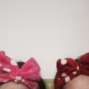 캣츠펜션 이미지