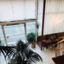 오팔구