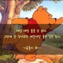 르솔트