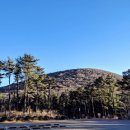 붉은오름자연휴양림 이미지