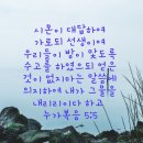 여수동백악기