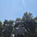 만지홍해랑 | [경남 통영 만지도/연대도] 섬투어(출렁다리, 200년 해송, 만지봉, 욕지도전망대) 후 먹는 시원한 전복...