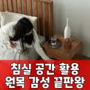 참죽나무 | 참죽 협탁, 침실의 품격을 더하는 단 하나의 선택