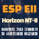 ESP E-II(E2) 호라이즌 NT-2 Tiger amber faded 사용후기
