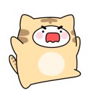 강릉세탁 이미지