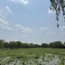 GS25부여궁남지점 이미지