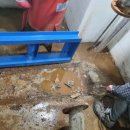 유영빌딩 이미지