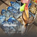 CU인천영흥점 | 쭈꾸미배낚시 에기추천 인천 영흥도 골드피싱 9월4일