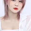 뉴중앙미용실 - 제주시 관덕로8길 7-4 | 뉴중앙미용실