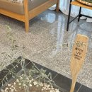 복상 | 조천소품샵 또복상점, 제주 허브 스머지 원데이클래스 후기, 함덕 애견동반여행 가볼만한곳, 기념품...