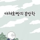 일로야채