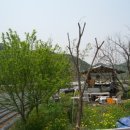 서강농장 이미지