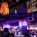 구구랜드 실키팜 | 렙타일 페어 천안 2024 박람회 다녀온 후기 (크레 입양)