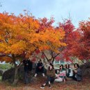 원앙여관 | 전남 구례 지리산 피아골,천은사 단풍구경 🍁