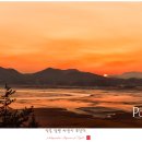 순천만습지 이미지