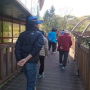 금산산림문화타운 이미지