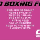 CD BOXING FIT 이미지